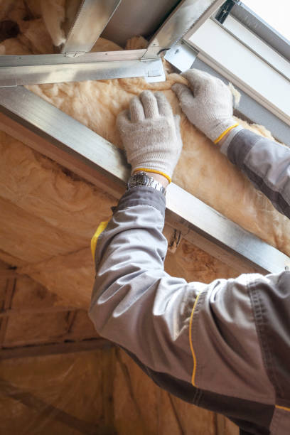 Professional Insulation Contractor in Topaz Ranch Estates, NV