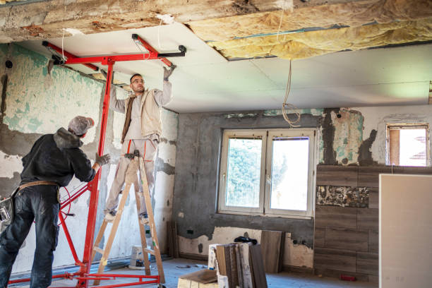 Best Eco-Friendly Insulation in Topaz Ranch Estates, NV