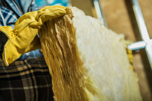 Best Insulation Maintenance and Repair in Topaz Ranch Estates, NV