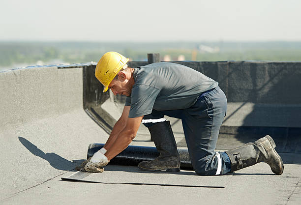 Best Cellulose Insulation in Topaz Ranch Estates, NV