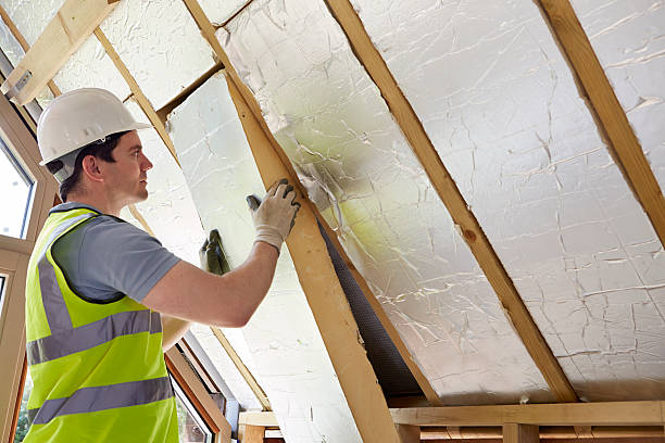Best DIY Insulation Kits and Guidance in Topaz Ranch Estates, NV